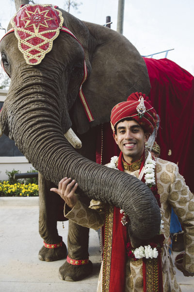 The Groom and his Elephant Best Houston Photography