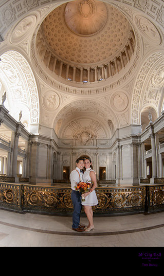 same sex marriage dome