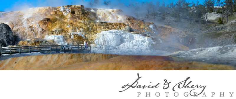 Yellowstone National Park Landscape Wedding Pictures
