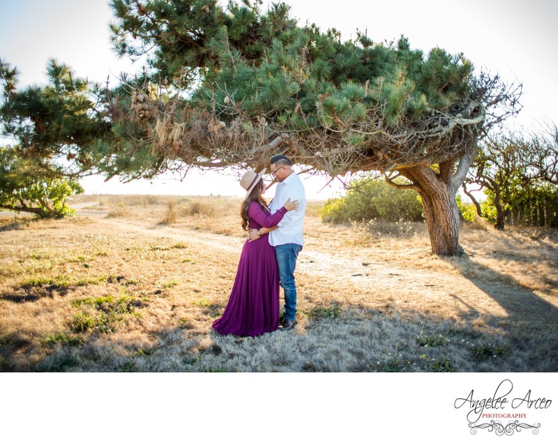 half-moon bay engagement half-moon bay engagement