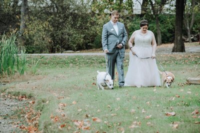Dogs in Weddings | Balmoral House