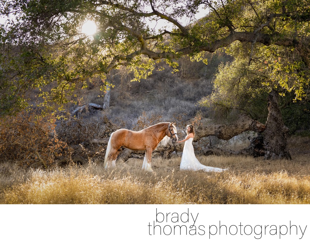 Best Horse and Bride Photographer Santa Rosa