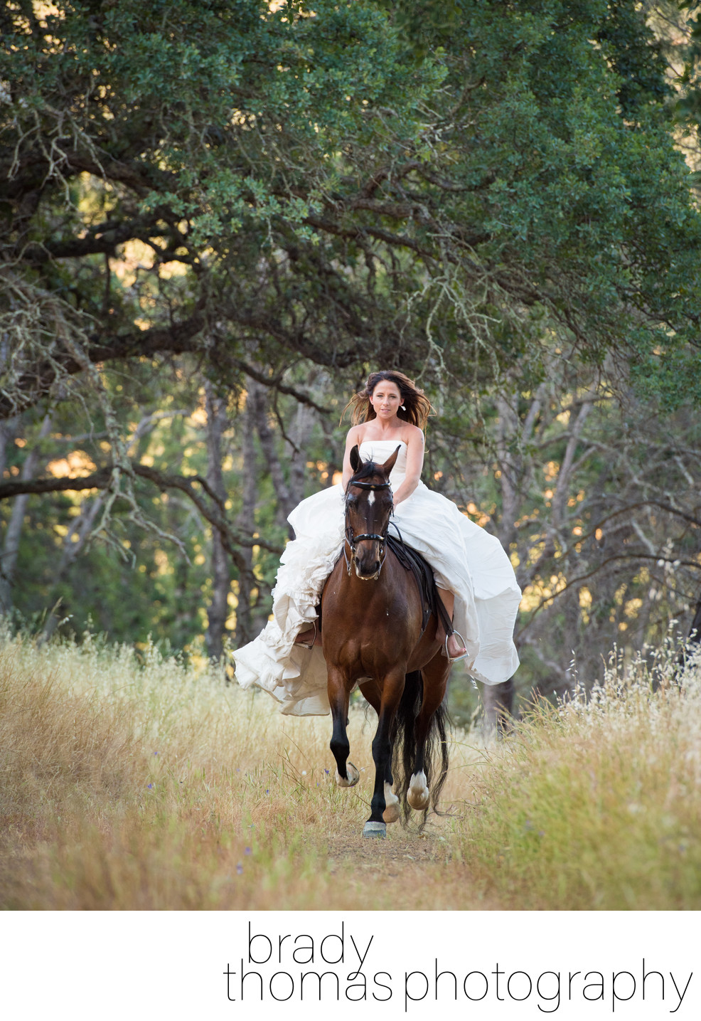 Bride and Horse Photography Clayton