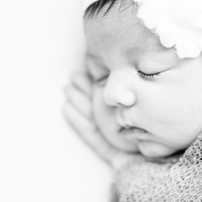 newborn photographer white plains NY