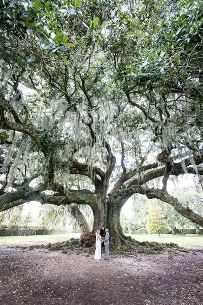 Wedding Ceremony at the Tree of Life in New Orleans