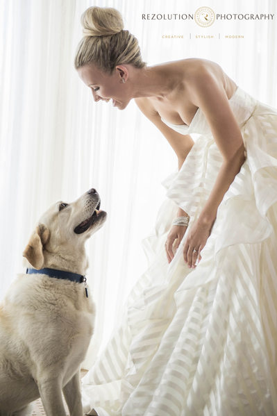 Wedding Photographer bride and her Dog Gold Coast