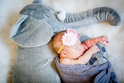 Baby cuddling with stuffed elephant