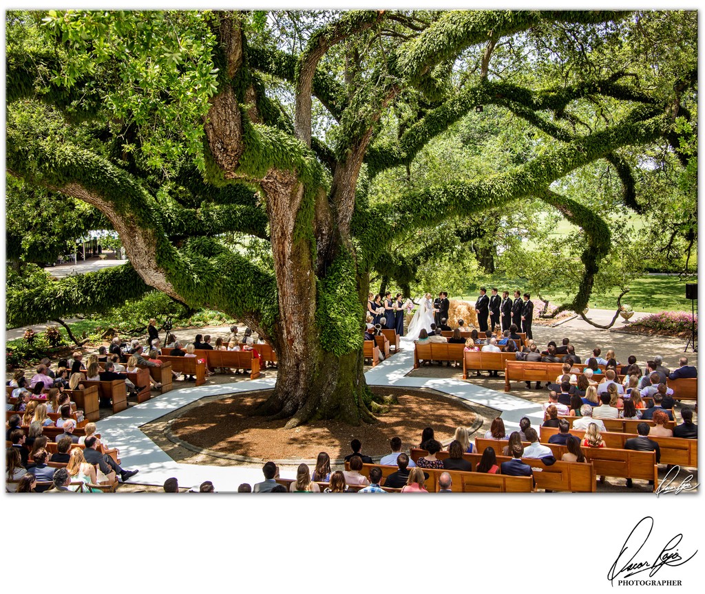New Orleans Country Club, outdoor wedding, photographer
