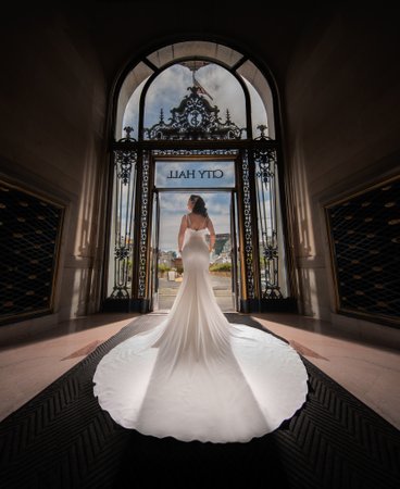 SF City Hall Bridal Elegance in Frame: Curvy Dress
