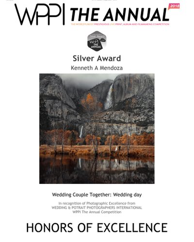  Top International Wedding Photo Awards After City Hall