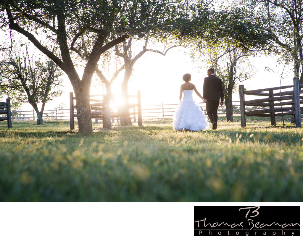 Ironstone Ranch Wedding Photography in Summer