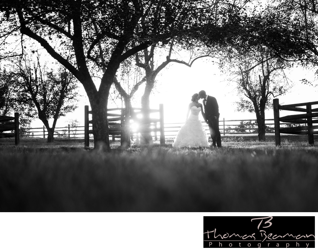 Ironstone Ranch Wedding Pictures