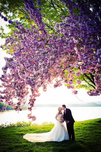 Spring Wedding at The Civic Club in Harrisburg PA