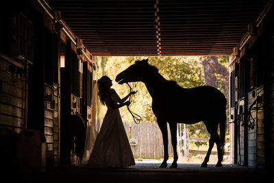 Wedding Portraits with Bride and Horse