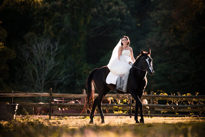 Bridal Portraits with Horse