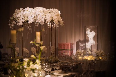 Ivory and White Decor at the Barnes Foundation