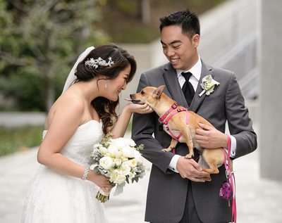 Best Los Angeles Dog Wedding Photographer - Los Angeles Wedding, Mitzvah & Portrait Photographer - Next Exit Photography