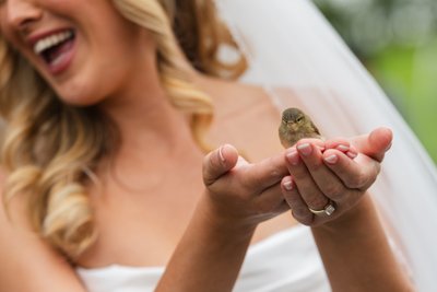 Bride Holding a Bird at Roodlea Barn Bride Holding a Bird at Roodlea Barn