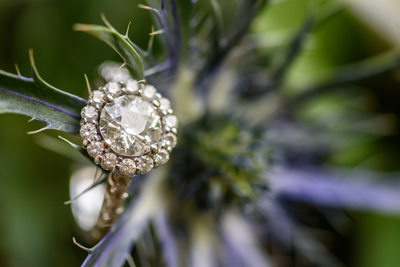 ring on flower