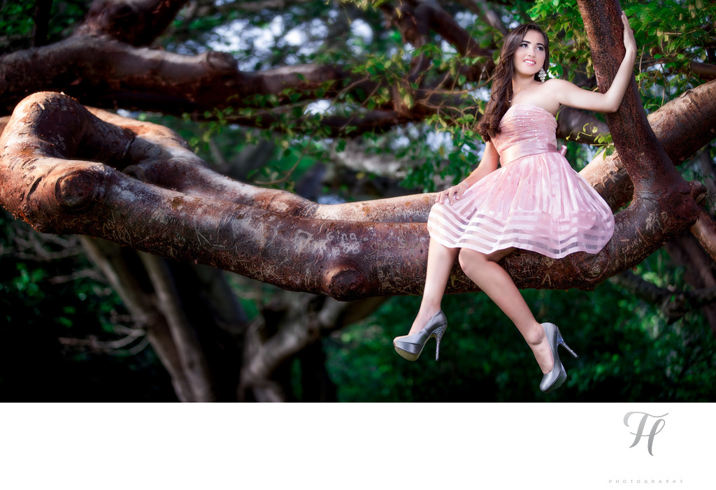 Quince Photos with a Tree in Miami