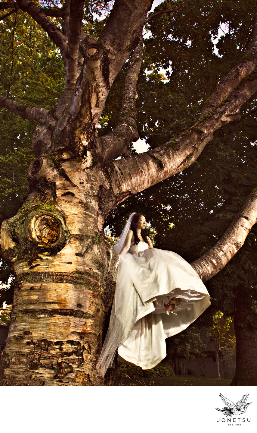 Golden bride in a huge tree with amazing gown