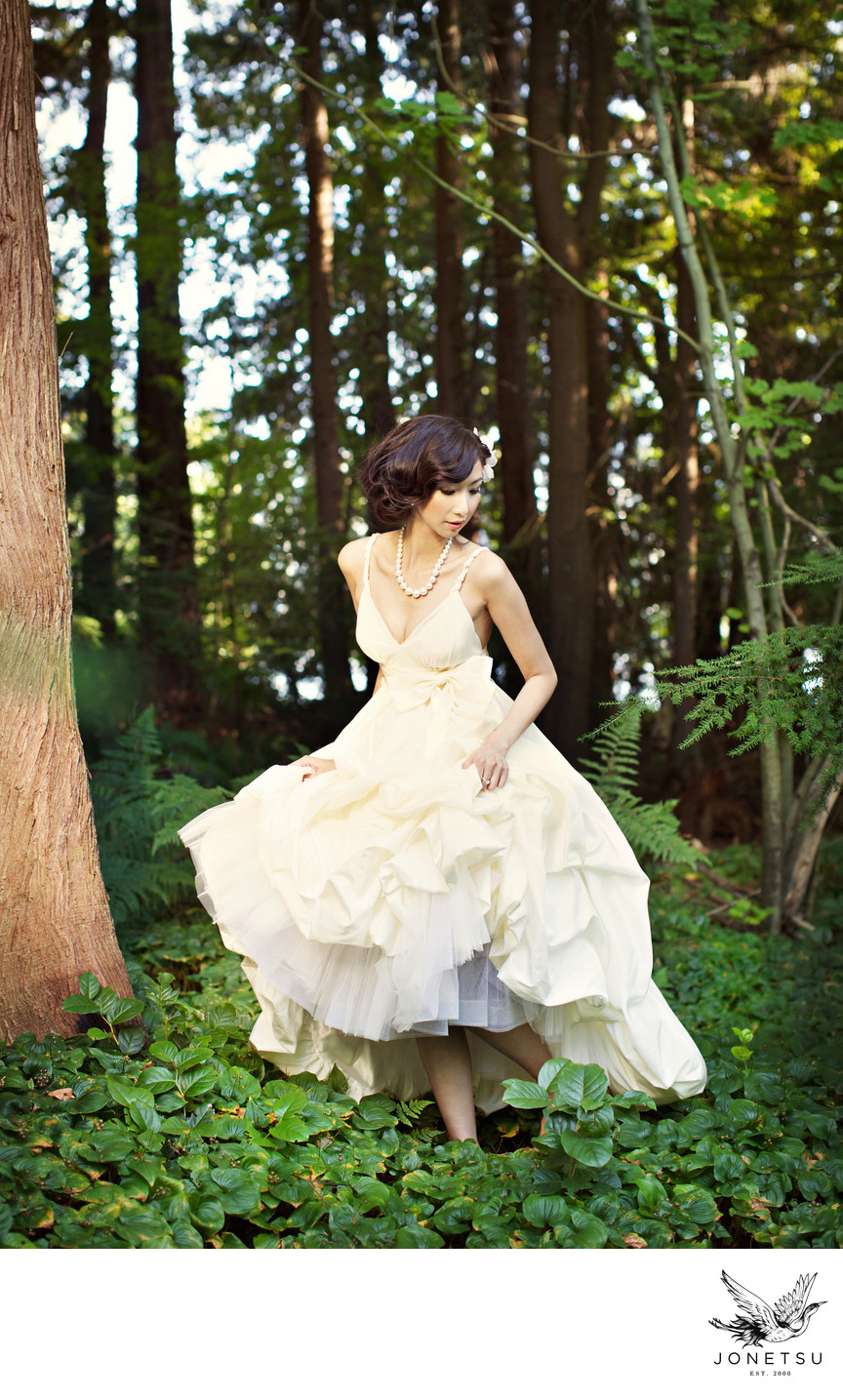 Stanley Park luxury pre wedding shoot in the forest