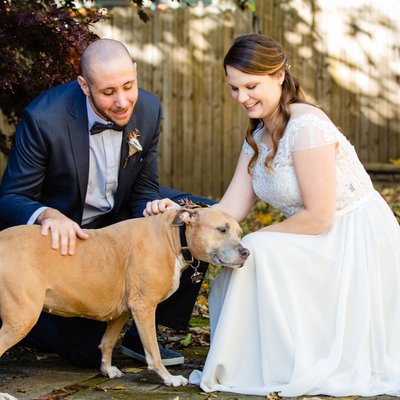 Dog Friendly Wedding Photographers