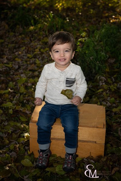 1 year old session, Clifton Park photographer