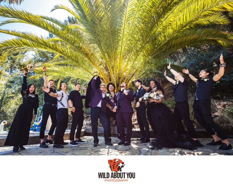 Bay Area LGBTQ elopement photographer Bay Area LGBTQ elopement photographer