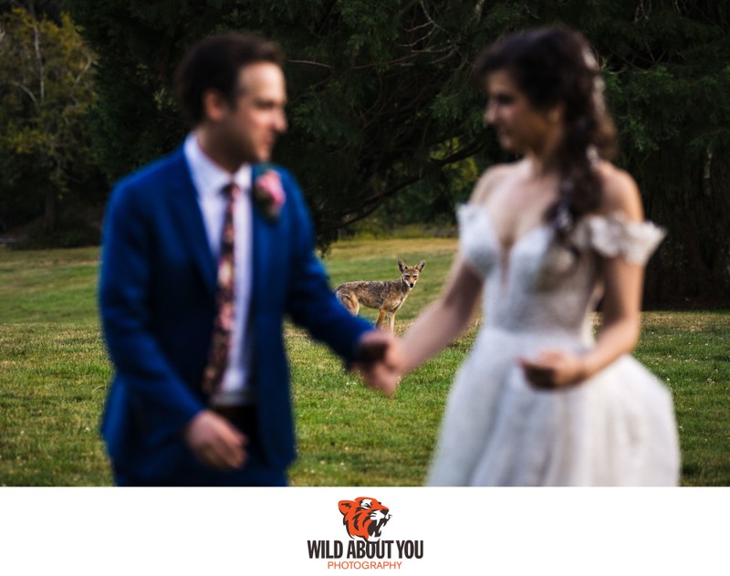 Brazilian Room wedding photographer Brazilian Room wedding photographer