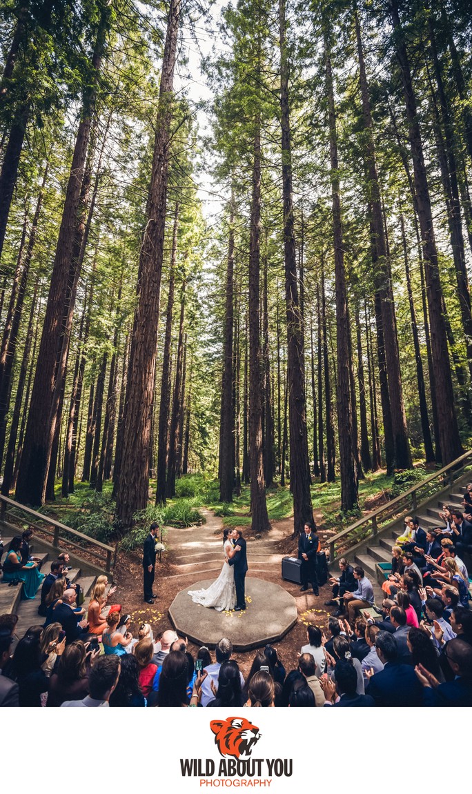Wedding Photographers Berkeley Botanical Garden
