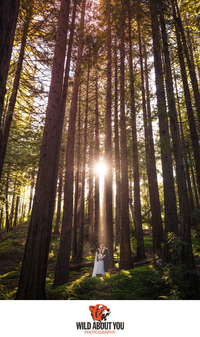 UC Botanical Garden Redwoods Wedding Berkeley UC Botanical Garden Redwoods Wedding Berkeley
