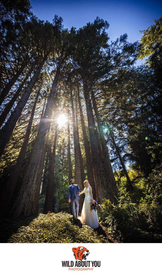 Brazilian Room Berkeley wedding photographer Brazilian Room Berkeley wedding photographer