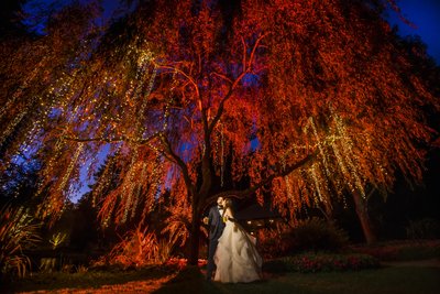 Cinematic wedding photographers Bay Area