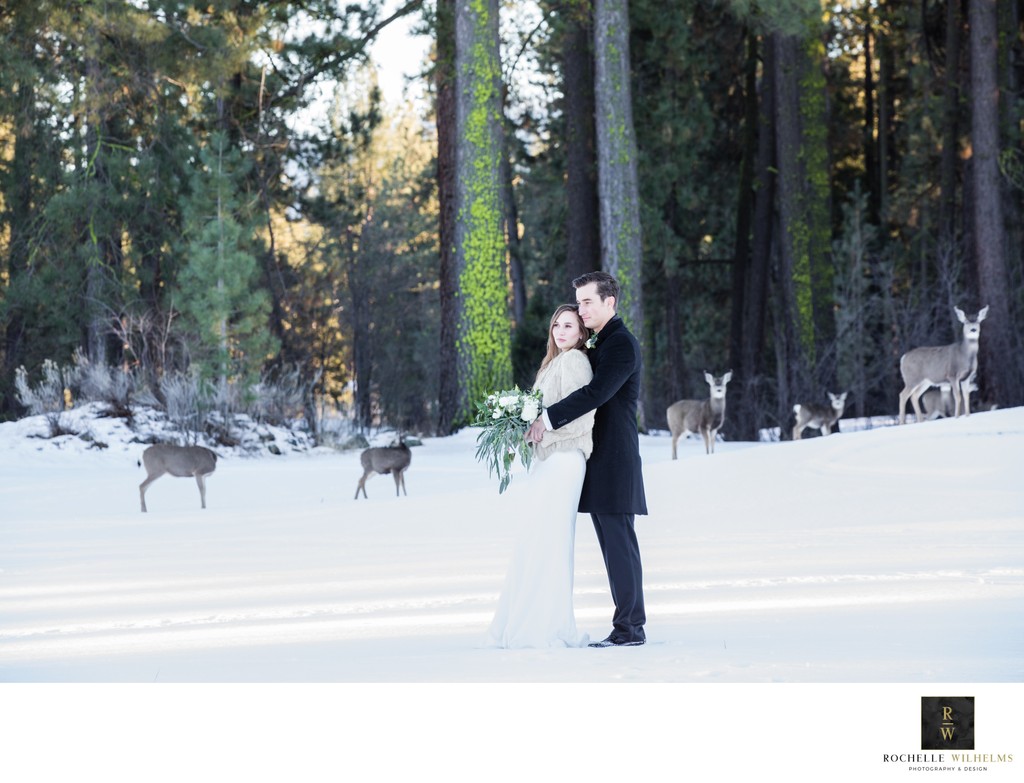 Best winter wedding photography in Graeagle, ca.