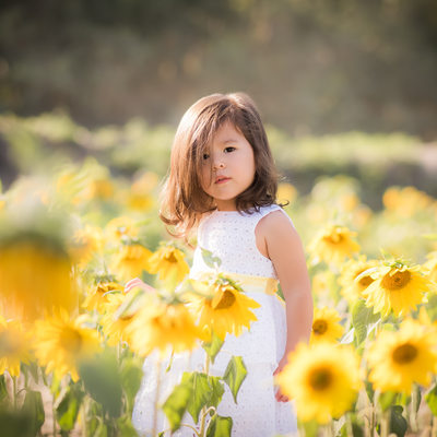 Sunflower field child portrait Palm Beach photographer 