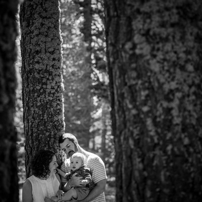 black and white family  with baby in trees