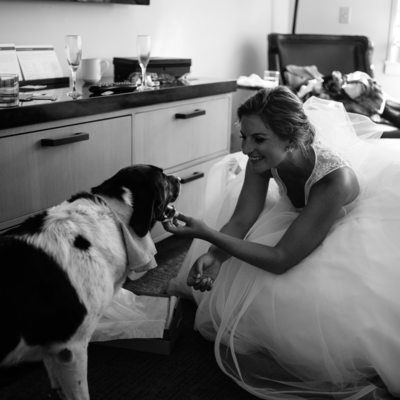bride and her dog getting ready at Hyatt Tahoe