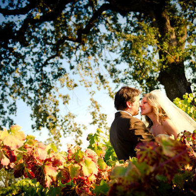bride and groom in fall vineyards