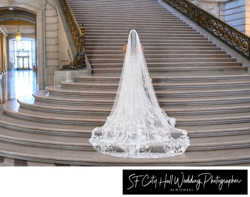 Sample Professional San Francisco city hall wedding picture Sample Professional San Francisco city hall wedding picture