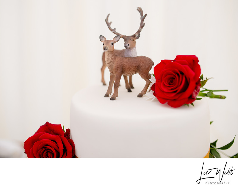 Wedding Cake Topper Worcestershire