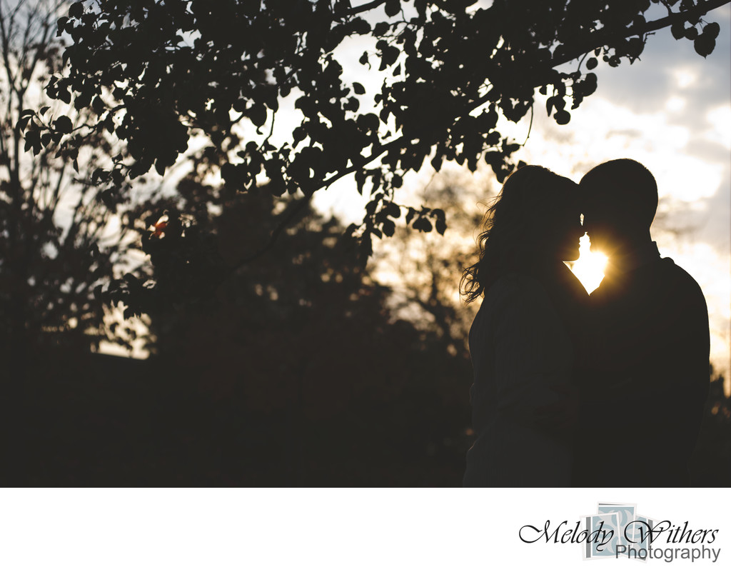 Indiana-Silhouette-Engagement-Wedding-Photographer