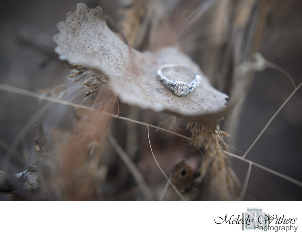 Fall-Ring-Detail-Muncie-Wedding-Photographer