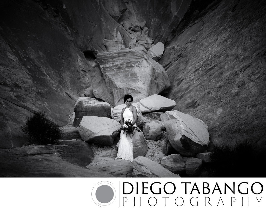 Top Bridal Portrait and Wedding Photography in Santa Cruz