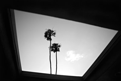 Palm Springs Frank Sinatra photographer