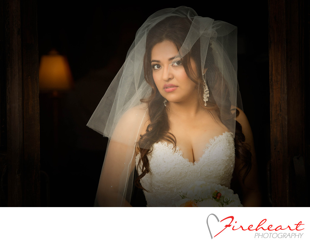 Houston Wedding photographer - Sexy bridal portraits