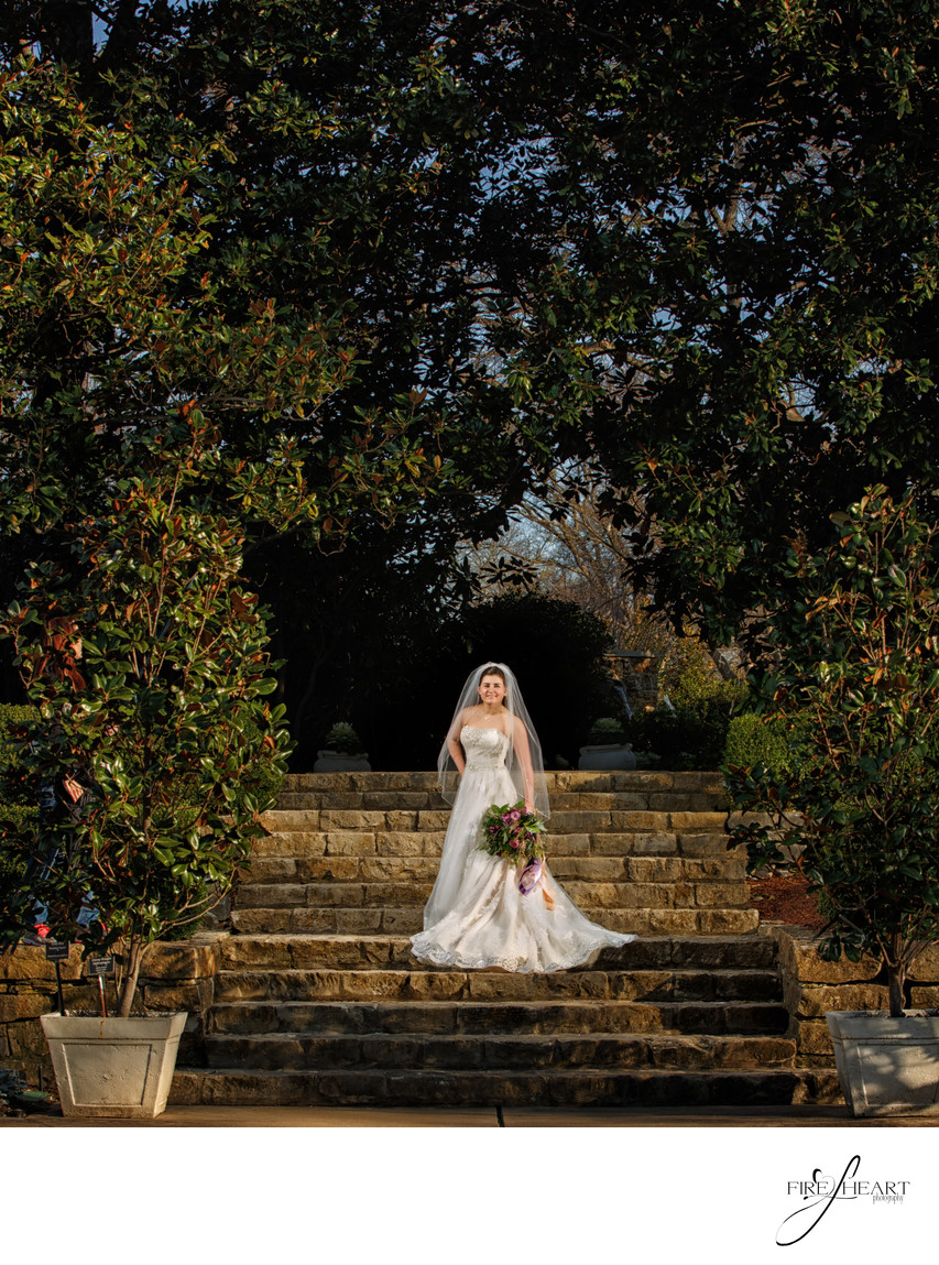 Dallas Wedding photographers - Dallas Arboretum