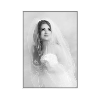 Houston wedding photographers bridal portraits
