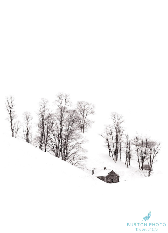 Blue Ridge Parkway Scenic Photographer Cabin in Snow