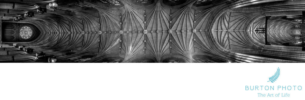 Scenic Photographer National Cathedral Ceiling